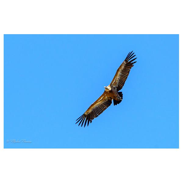 PHOTO84, CLUB, 84 , LUBERON